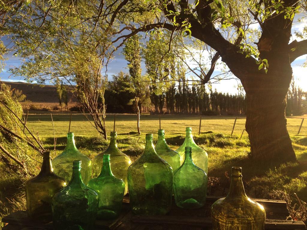 Estancia Santa Thelma Bed & Breakfast Casa Riera Екстериор снимка